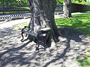 The Hungry Tree at Kings Inns (geograph 4572088) .jpg