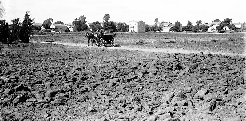File:The Sarona Templer Settlement taken between 1898 and 1946.jpg