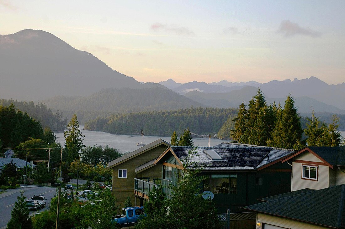 Tofino