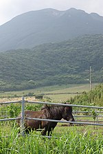 十島村のサムネイル