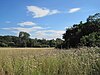 Totteridge Fields