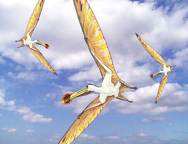 Restoration of three flying individuals