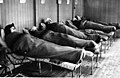Tuberkulos 1927.jpg