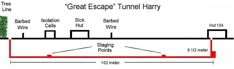 File:Tunnel Harry.jpg