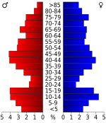 Population pyramid