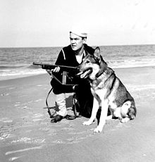 A U.S. Coast Guard sailor on shore patrol with working dog and a Reising Model 50 with 12-round magazine. USCG Beach Patrol.jpg