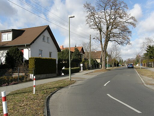 Uckermarkstr Kaulsdorf 2012-03-11 ama fec (61)