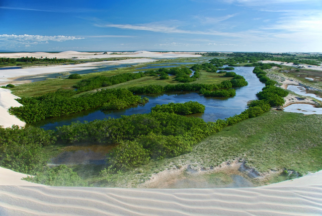 File:Vegetação_de_Jericoacoara.png