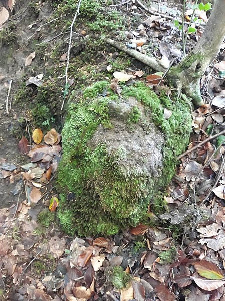 File:Verdley Edge boundary stone.jpg