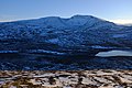 * Nomination View of Storskarhøa mountain from Bollåthøa. --Frankemann 16:39, 21 June 2018 (UTC) * Promotion  Support Good quality. --George Chernilevsky 18:01, 21 June 2018 (UTC)