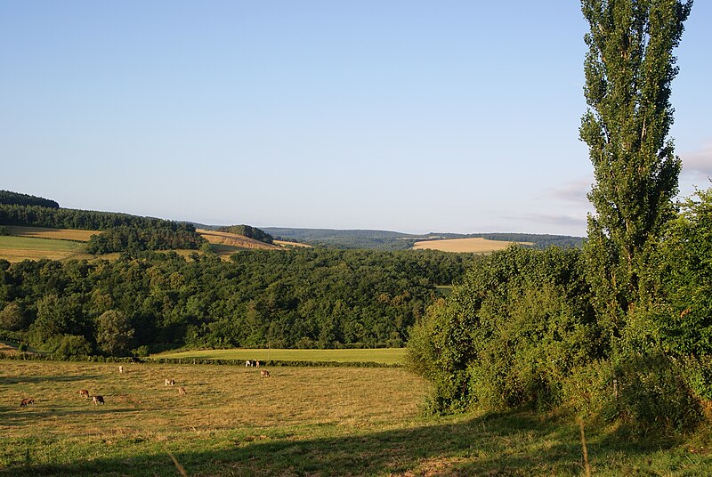 File:View over the valley (2699576818).jpg