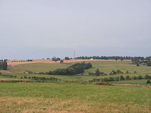 Borovina