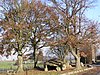 Dolmens op het grondgebied van het dorp Wris