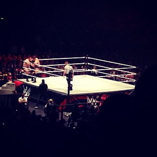 <span class="mw-page-title-main">House show</span> Untelevised professional wrestling event