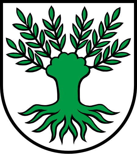 Wappen Widen AG