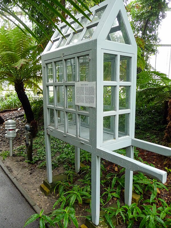 Wardian Case - Hortus Botanicus Amsterdam - July 2011