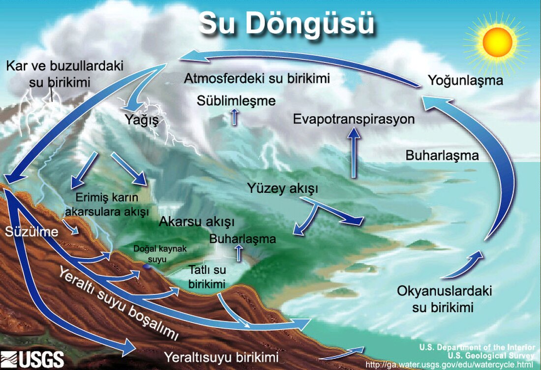 Gıda döngüsü