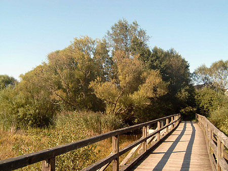 Weiherbrücke Dreifelden.jpg