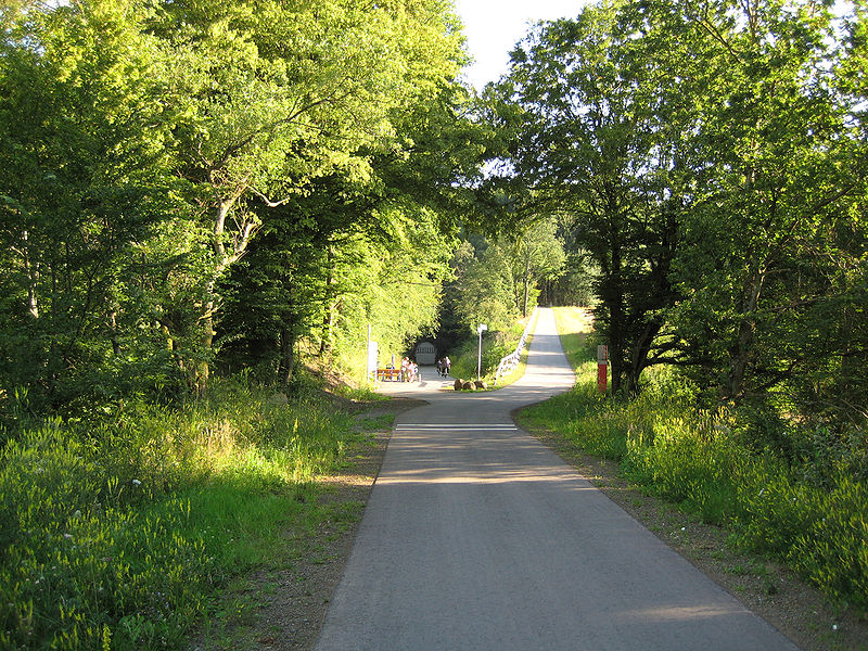 File:Wendalinus-Radweg, Anstieg Tholey.jpg