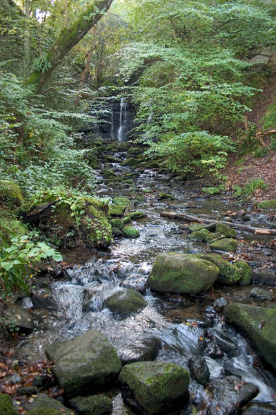 File:Wharnley Burn Water Fall.jpg