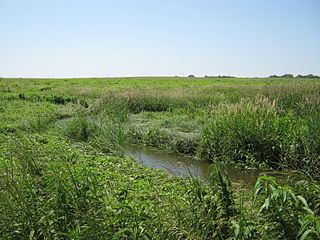 Spirit Mound Creek