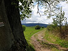 Masyw Wielkiej Sowy widziany na szlaku z Rościszowa
