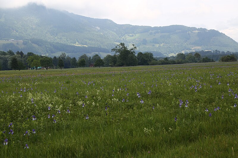 File:Wikiolo in Liechtenstein (639).jpg