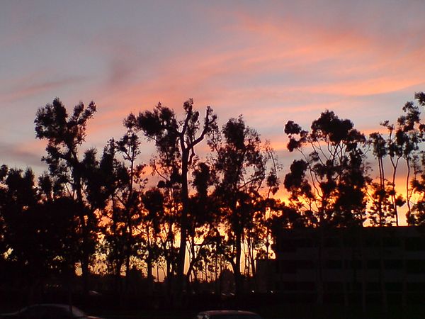 Wilson Park at sunset