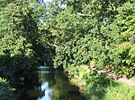 Basingstoke Canal