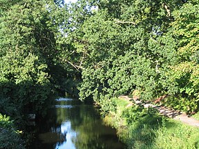 Woking-BasingstokeCanal.jpg 