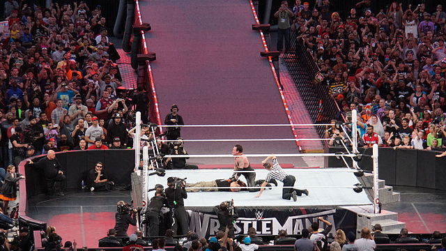 The Undertaker pinning Bray Wyatt with his signature variation pinfall crossing the opponent's arms across their chest after his finishing move, the T