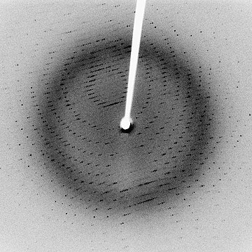 Each dot, called a reflection, in this diffraction pattern forms from the constructive interference of scattered X-rays passing through a crystal. The data can be used to determine the crystalline structure.