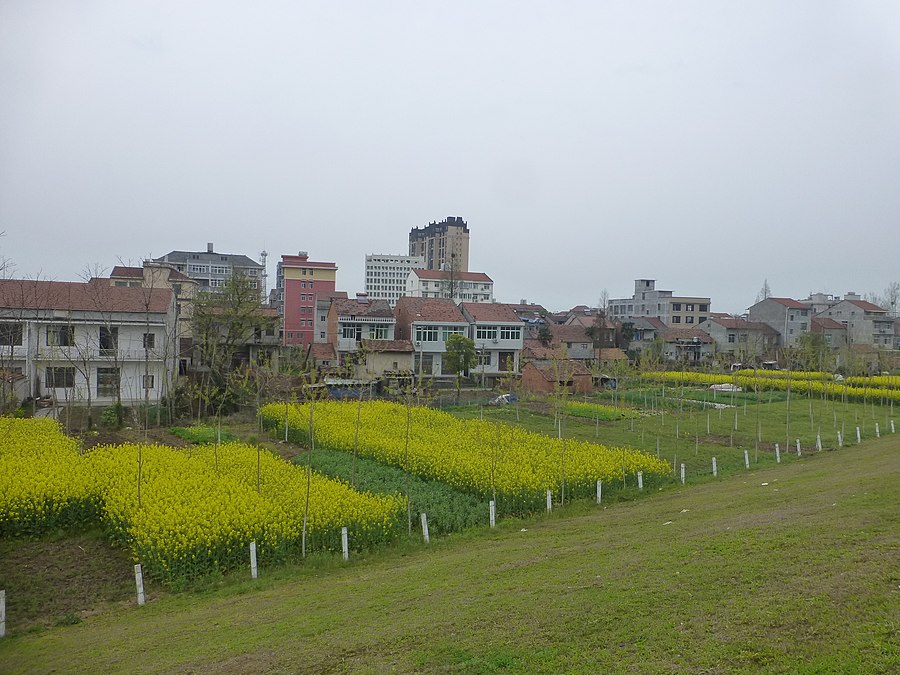 Honghu page banner