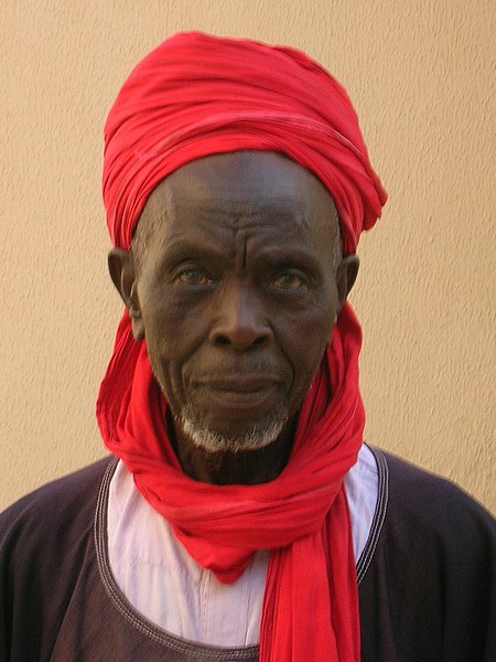 Guard at the palace of the emir