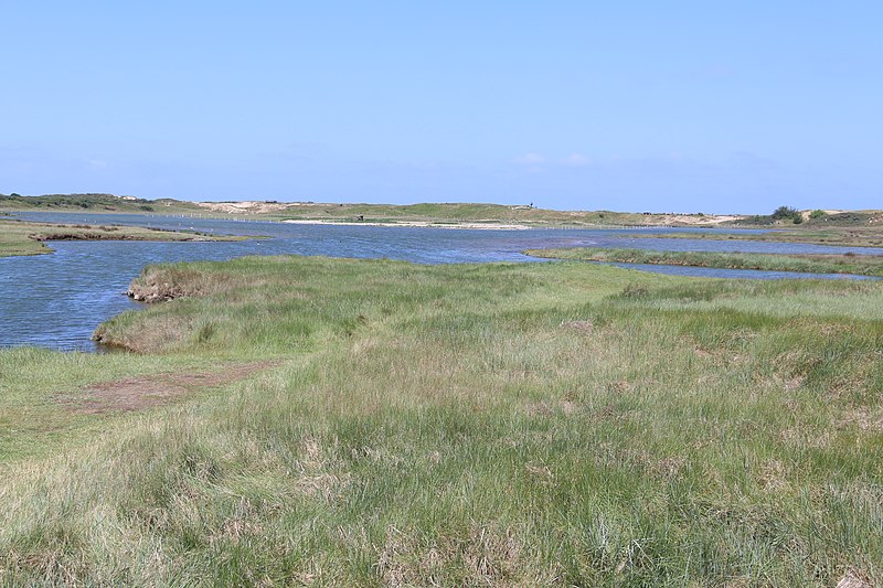 File:Zwin Natuur Park 34.jpg