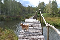 Bridge over pond, Ulyanovsky District