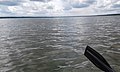 Середина озера Минзелинского Колыванский район. 2016 год.jpg