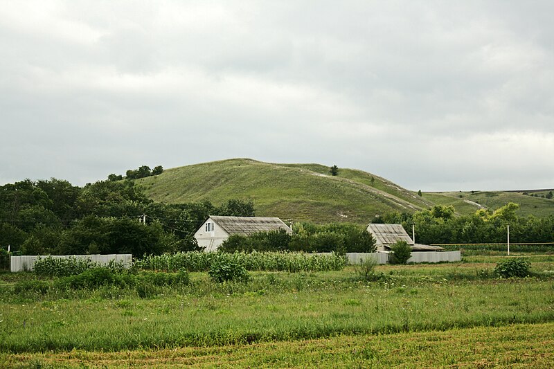 File:Ютановское городище 07.jpg