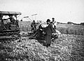 Rabbis from Jerusalem supervise the harvest of wheat in Kibbutz Gan Shmuel, in order to make sure that the wheat is kosher for making Shmurah matzah (1930 - 1938)