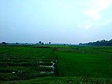 গায়েবী দিঘী 1.jpg