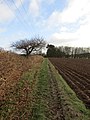 -2019-01-17 Circular footpath across Southrepps common, Norfolk (3).JPG