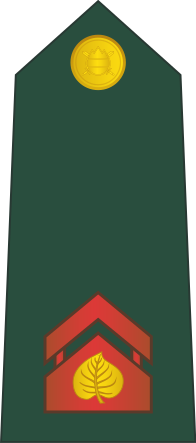 File:02-Slovenian Army-CPL.svg