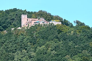 <span class="mw-page-title-main">Rietburg</span> Ruined castle in Rhineland-Palatinate, Germany