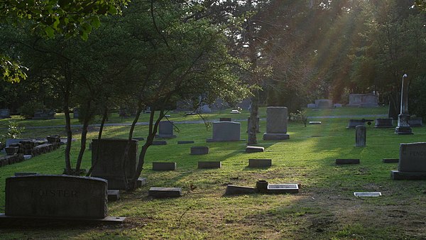 Sun rays at dusk