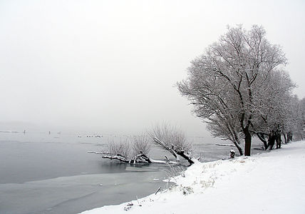 River Oder at Sikierki (Poland)