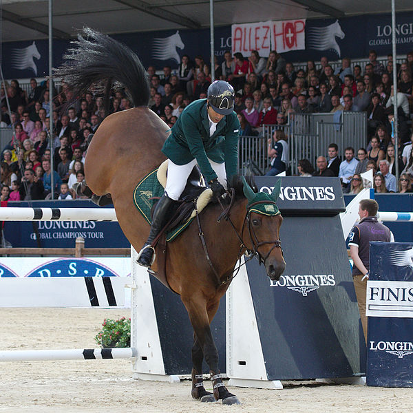 File:2013 Longines Global Champions - Lausanne - 14-09-2013 - Kamal Bahamdan et Noblesse des Tess.jpg