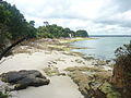 Entre le Cap Coz et Beg Meil, la plage de Kerveltrec (en partie recouverte d'algues vertes).