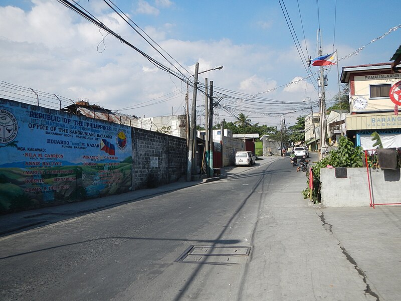 File:8895jfCanumay West East Ugong Valenzuelafvf 10.JPG