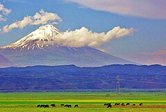 Гора арарат находится. Гора Агры Турция. Гора Арарат с пастухом. Ağri Daği (Ağri). Национальный парк Агры дагы.