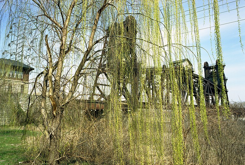 File:A1c049 Lift span of L&I Bridge with willow tree (42592005724).jpg